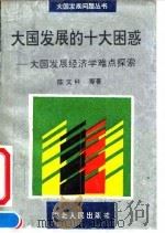 大国发展的十大困惑 大国发展经济学难点探索 1994 PDF电子版封面 721601555X 陈文科等著