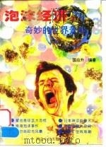 泡沫经济 奇妙的世界景观 1995 PDF电子版封面 7216017293 国应升编著