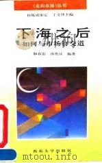 下海之后  如何与市场打交道（1993 PDF版）