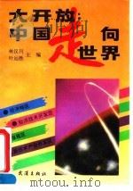 大开放  中国走向世界（1993 PDF版）