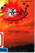 “爆炒”神州  中国市场经济十大热点扫描与透析（1994 PDF版）