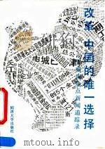 改革，中国的唯一选择  贺宛男热点新闻追踪录（1994 PDF版）