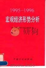 1995-1996宏观经济形势分析 1996 PDF电子版封面 7800584569 国家计委经济研究所综合研究室编
