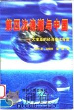 第四次浪潮与中国 大变革的经济演化背景 1997 PDF电子版封面 7220035225 姚齐源等著