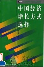 中国经济增长方式选择 1999 PDF电子版封面 7801491114 李贺军著