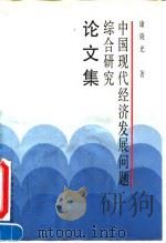中国现代经济发展问题综合研究论文集（1994 PDF版）