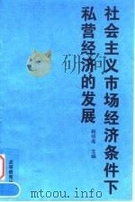 社会主义市场经济条件下私营经济的发展（1997 PDF版）