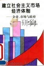 建立社会主义市场经济体制  企业、市场与政府（1995 PDF版）