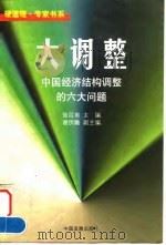 大调整 中国经济结构调整的六大问题 1998 PDF电子版封面 7800872882 陆百甫主编