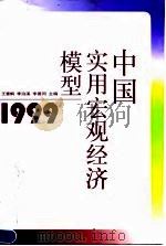 中国实用宏观经济模型1999 1999 PDF电子版封面 7500541333 王慧炯等主编