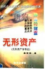 神奇的财富 无形资产 无形资产学导论 1996 PDF电子版封面 7806153616 蔡吉祥著