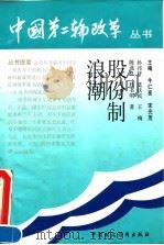 股份制浪潮（1992 PDF版）