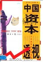 中国资本透视（1997 PDF版）