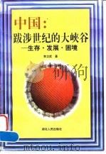 中国:跋涉世纪的大峡谷 生存·发展·困境 1997 PDF电子版封面 7216020146 李卫武著
