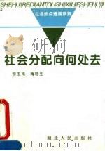 社会分配向何处去（1994 PDF版）