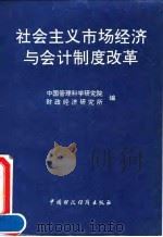 社会主义市场经济与会计制度改革（1994 PDF版）