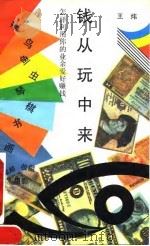 钱从玩中来 怎样利用你的业余爱好赚钱 1993 PDF电子版封面 7209012788 王炜著