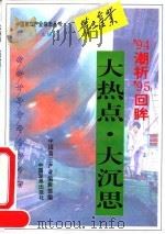 大热点·大沉思 94潮析95回眸 1995 PDF电子版封面 7800871959 朱兵主编;中国第三产业编辑部编