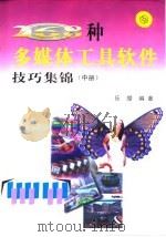 268种多媒体工具软件技巧集锦 中 1999 PDF电子版封面 7030076702 乐缨编著