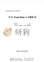 中文 Visual Basic 6.0傻瓜书 1999 PDF电子版封面 7302034109 钱培德