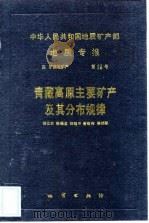 中华人民共和国地质矿产部地质专报  4  矿床与矿产  第20号  青藏高原主要矿产及其分布规律（1991 PDF版）