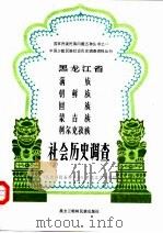 黑龙江省满族、朝鲜族、回族、蒙古族、柯尔克孜族社会历史调查   1987  PDF电子版封面    《民族问题五种丛书》黑龙江省编辑组 