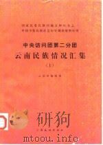 中国少数民族社会历史调查资料丛刊  中央访问团第二分团云南民族情况汇集  上（1986 PDF版）