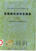布朗族社会历史调查（二）（1982年08月第1版 PDF版）