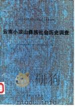 云南小凉山彝族社会历史调查 1984 PDF电子版封面 11116·98 《民族问题五种丛书》云南省编辑委员会编