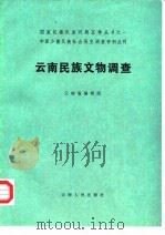 云南民族文物调查（1988 PDF版）