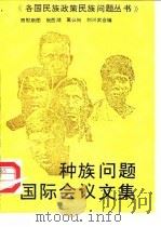 种族问题国际会议文集 1988 PDF电子版封面 7536606028 照那斯图等编