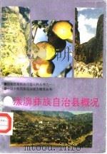 漾濞彝族自治县概况 1992 PDF电子版封面 7536705492 《漾濞彝族自治县概况》编写组编