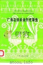 广西壮族社会历史调查 第6册 1985 PDF电子版封面 11138.37 广西壮族自治区编辑组