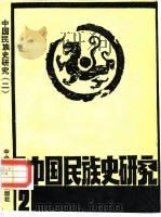中国民族史研究 2 1989 PDF电子版封面 7810011405 白滨等编