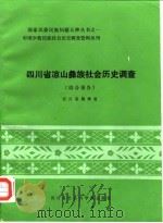 中国少数民族社会历史调查资料丛刊  四川省凉山彝族社会历史调查  综合报告（1985 PDF版）