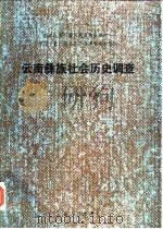云南彝族社会历史调查（1986 PDF版）