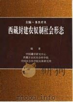 西藏封建农奴制社会形态 1996 PDF电子版封面 7800572293 多杰才旦主编