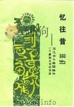 忆往昔  一个彝族土司的自述（1988 PDF版）