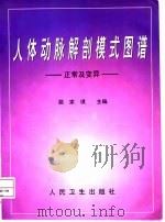 人体动脉解剖模式图谱  正常及变异（1998 PDF版）