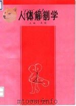 人体解剖学   1994  PDF电子版封面  7117020709  朱钦主编 