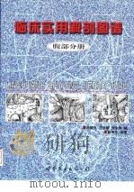 临床实用解剖图谱  腹部分册（1999 PDF版）