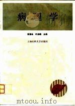 病理学 1994 PDF电子版封面 7562702365 郭慕依,叶诸榕主编;马瑾瑜等编写
