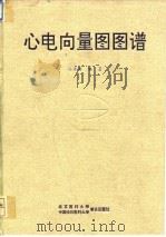 心电向量图图谱 1995 PDF电子版封面 7810344188 高秉新编著