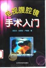 电视腹腔镜手术入门 1999 PDF电子版封面 7530422456 邵如庆等著