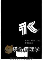 烧伤病理学 1993 PDF电子版封面 7536622252 陈意生,史景泉主编