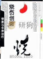 烧伤创面修复与全身治疗 1993 PDF电子版封面 720002287X 常致德等著