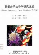 肿瘤分子生物学研究进展  '96北京国际肿瘤分子生物学学术会议论文汇编   1996  PDF电子版封面  7801210565  李春海，郭亚军主编 
