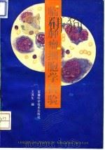 临床肿瘤细胞学检验（1994 PDF版）