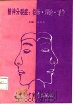 精神分裂症 临床·理论·评价 1994 PDF电子版封面 7800893022 金卫东等编著