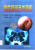鼻内窥镜手术图解（1998 PDF版）